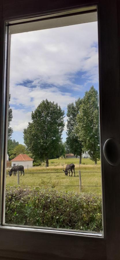 Chambres D'Hotes B&B Cote D'Opale La Fermette Du Lac Ardres Eksteriør billede