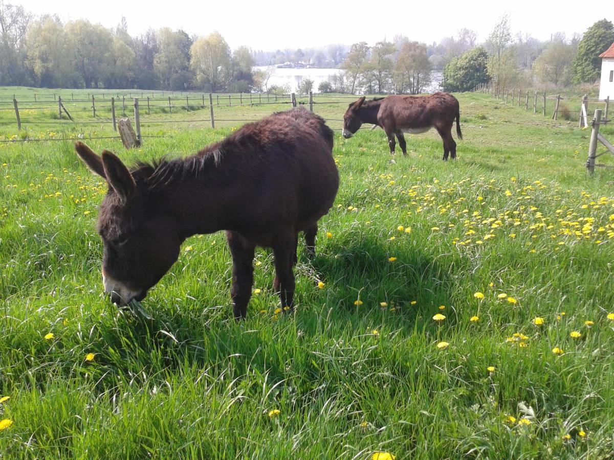 Chambres D'Hotes B&B Cote D'Opale La Fermette Du Lac Ardres Eksteriør billede